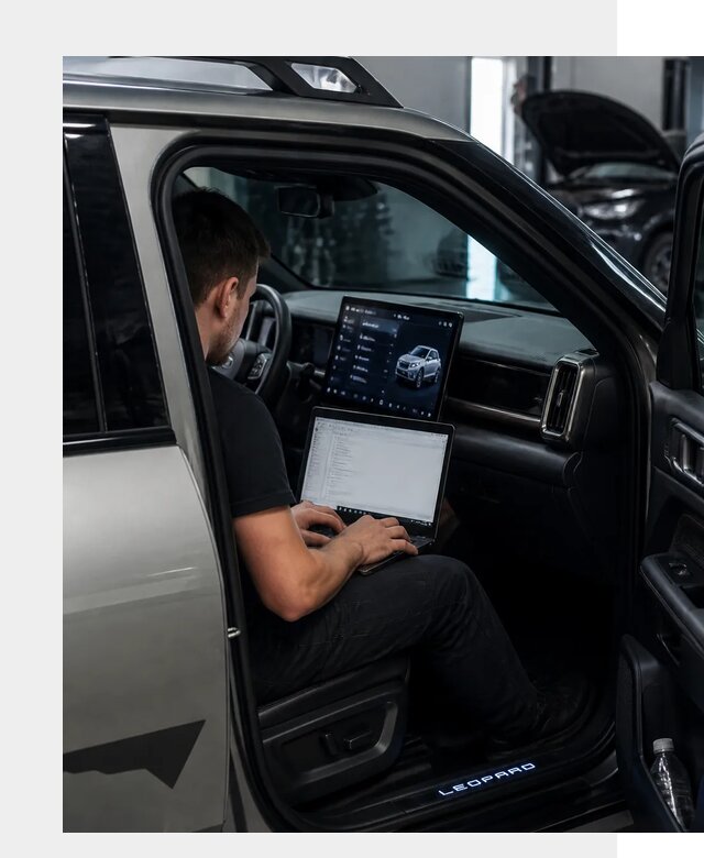 Русификация BYD Leopard 3 в Кулебаках по цене от 20509 р. | ФастМобиль-Клб